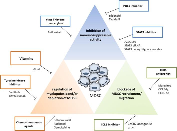 https://cdn.ncbi.nlm.nih.gov/pmc/blobs/1584/5840207/4f9e4b2a4441/fimmu-09-00398-g002.jpg
