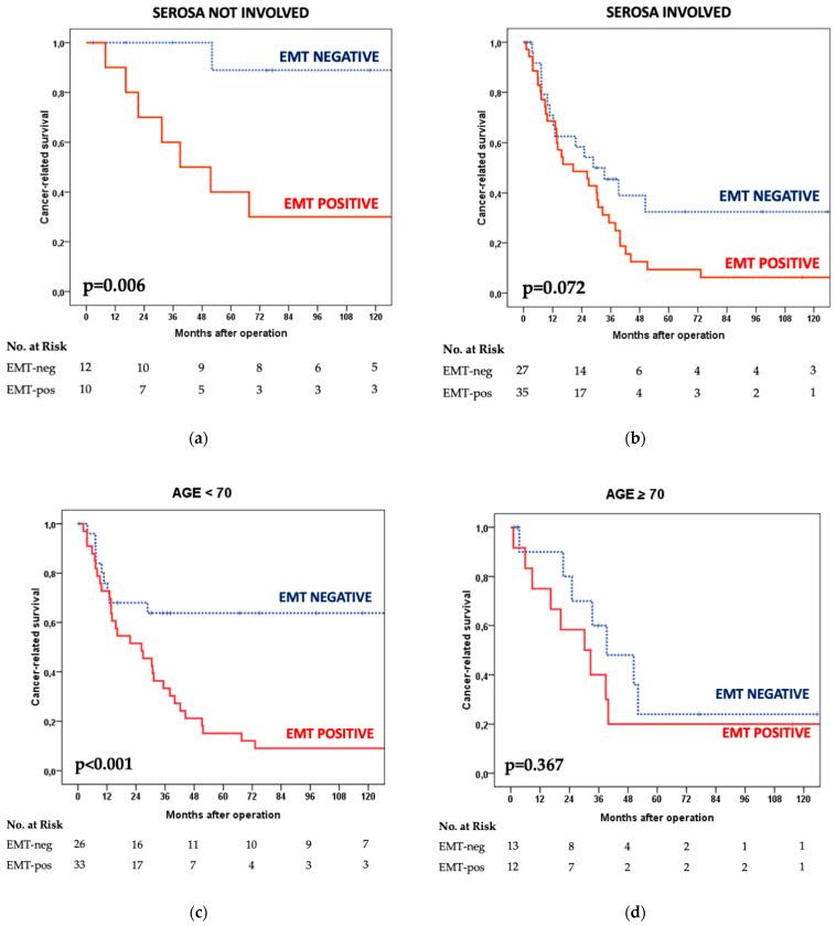 https://cdn.ncbi.nlm.nih.gov/pmc/blobs/1584/9776345/540a4ac0795c/cancers-14-06023-g005.jpg