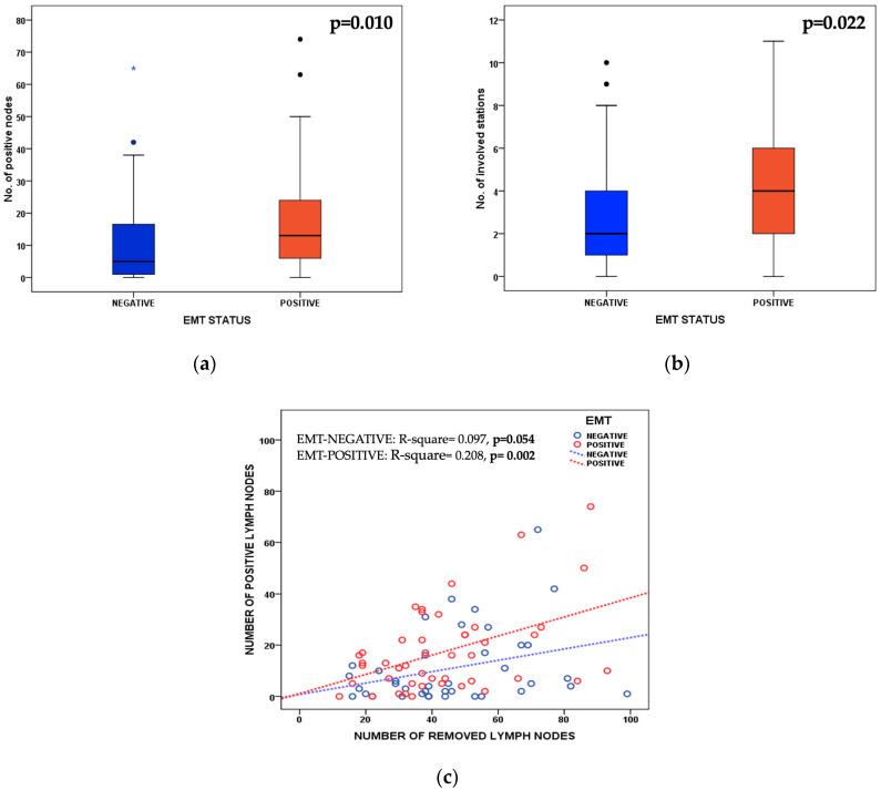 https://cdn.ncbi.nlm.nih.gov/pmc/blobs/1584/9776345/be3f525b358c/cancers-14-06023-g003.jpg