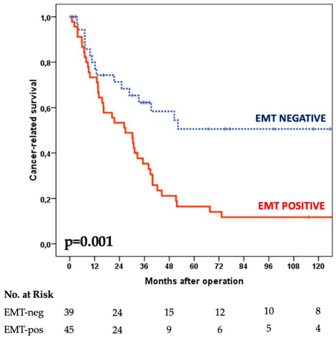 https://cdn.ncbi.nlm.nih.gov/pmc/blobs/1584/9776345/f6dc1678f068/cancers-14-06023-g004.jpg