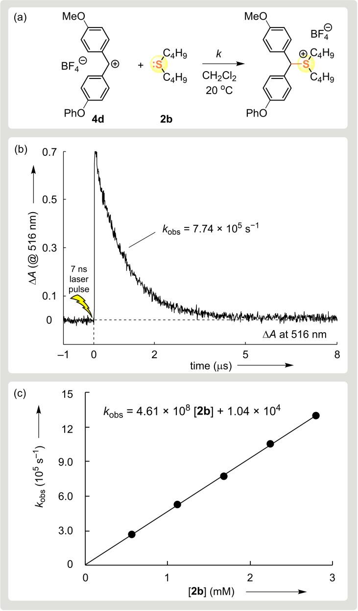 https://cdn.ncbi.nlm.nih.gov/pmc/blobs/1585/8456842/947a2934a6e4/CHEM-27-11367-g002.jpg