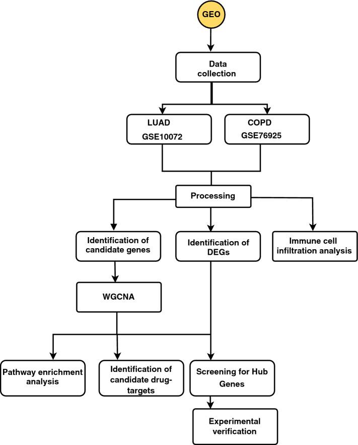https://cdn.ncbi.nlm.nih.gov/pmc/blobs/1586/9345949/14c39f384575/41598_2022_17552_Fig1_HTML.jpg