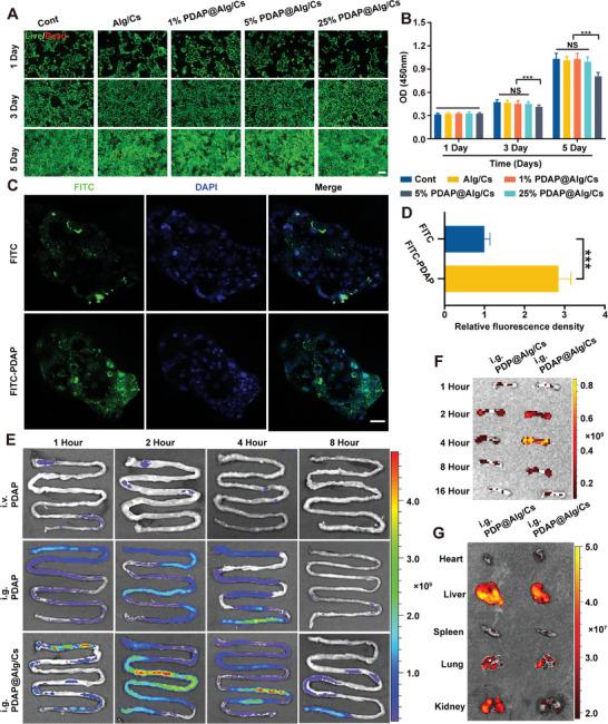 https://cdn.ncbi.nlm.nih.gov/pmc/blobs/1588/10214236/52f3fe33bf27/ADVS-10-2207381-g007.jpg