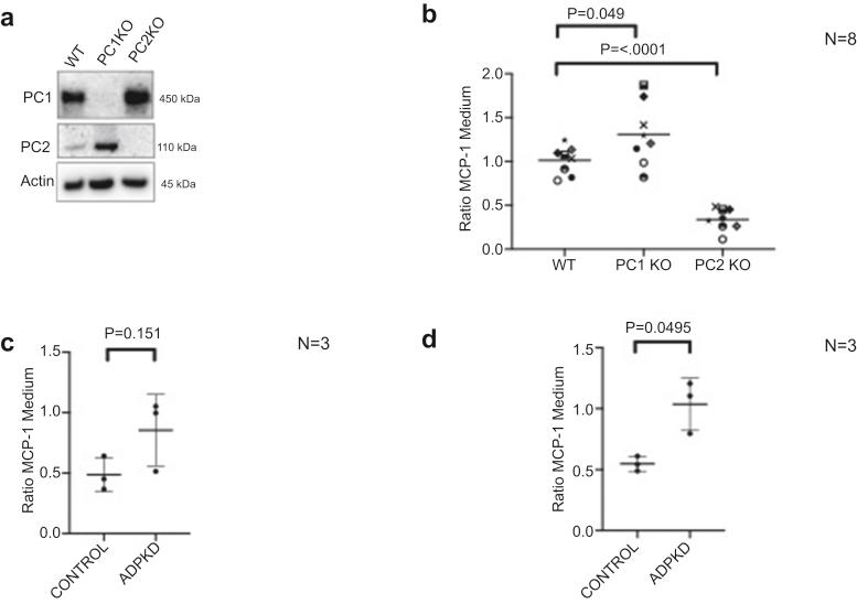 https://cdn.ncbi.nlm.nih.gov/pmc/blobs/1589/8207325/5bab54b302f7/gr2.jpg