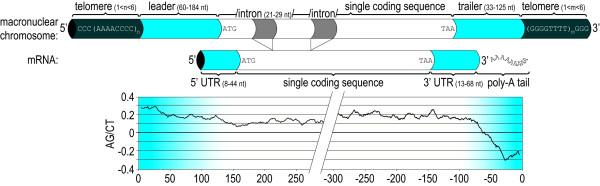 https://cdn.ncbi.nlm.nih.gov/pmc/blobs/158a/2633312/5d1c34abefa7/1471-2164-9-587-3.jpg