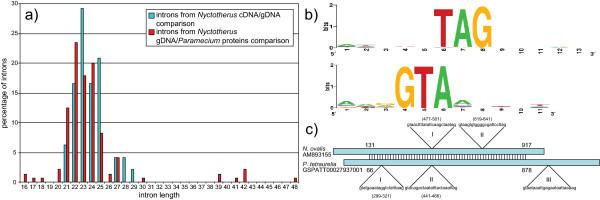 https://cdn.ncbi.nlm.nih.gov/pmc/blobs/158a/2633312/e90308ecde6a/1471-2164-9-587-4.jpg