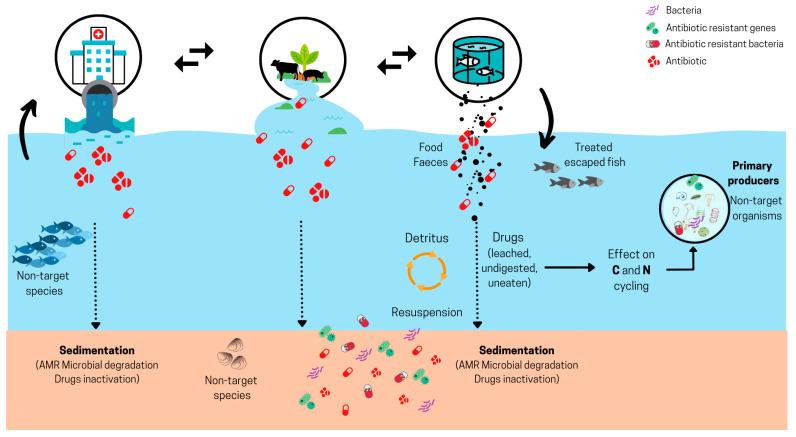 https://cdn.ncbi.nlm.nih.gov/pmc/blobs/158b/11428492/2f1ffe910b70/antibiotics-13-00887-g002.jpg