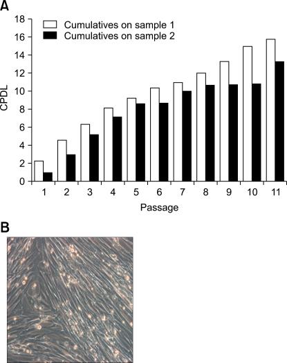 https://cdn.ncbi.nlm.nih.gov/pmc/blobs/158b/2801133/0df05e1fc085/jvs-10-181-g001.jpg