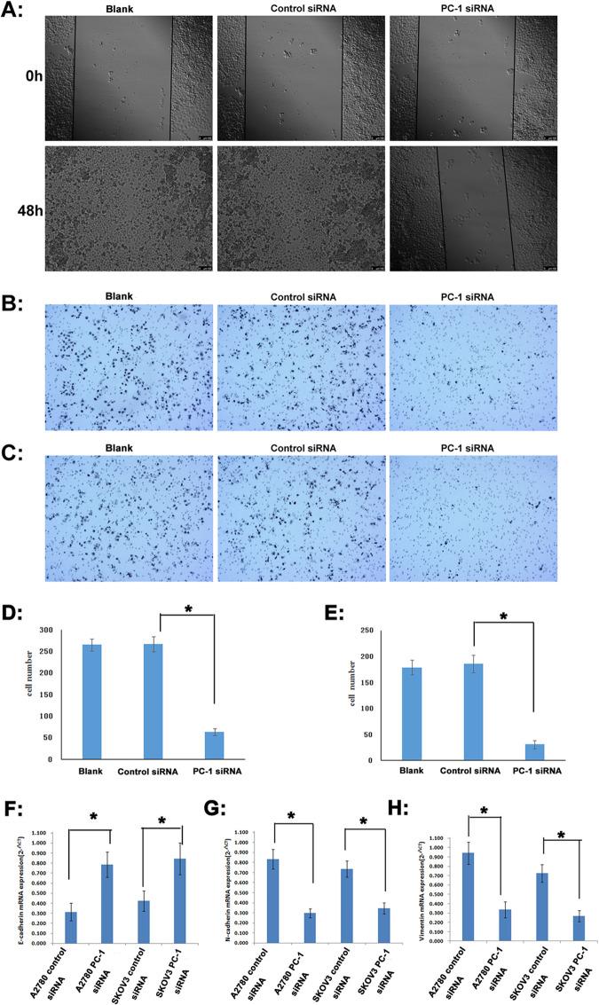 https://cdn.ncbi.nlm.nih.gov/pmc/blobs/158b/7909685/1e29b719abc6/pone.0245733.g005.jpg