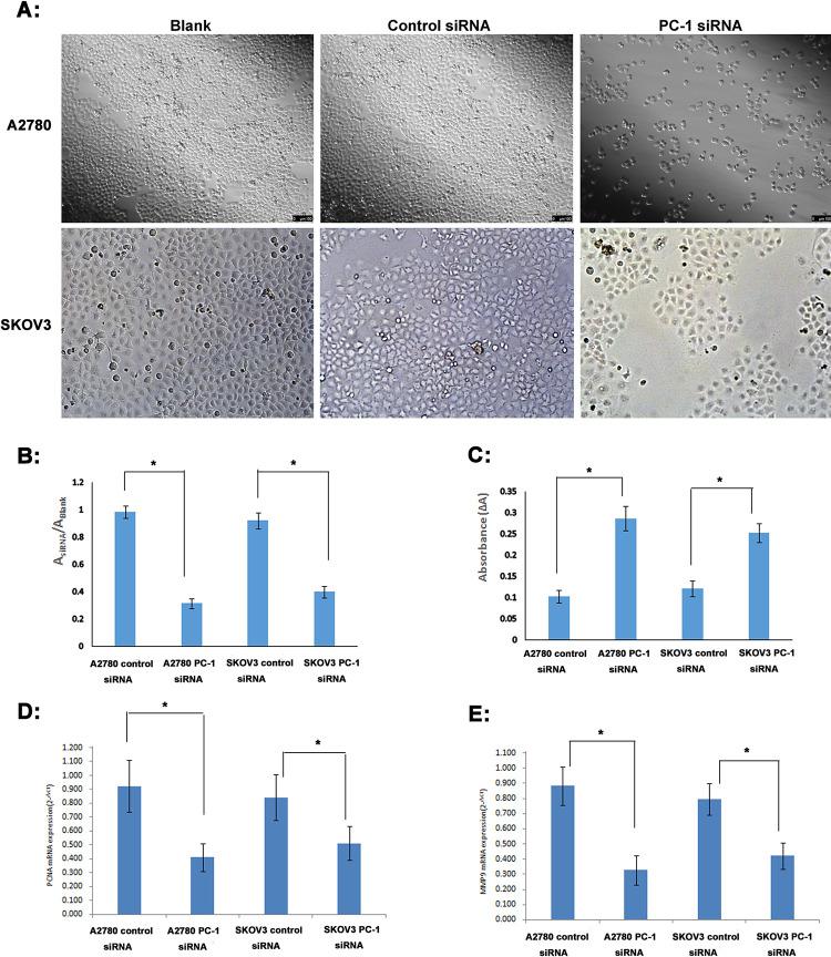 https://cdn.ncbi.nlm.nih.gov/pmc/blobs/158b/7909685/8b1bde68f205/pone.0245733.g004.jpg