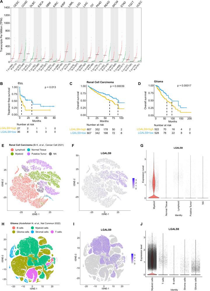 https://cdn.ncbi.nlm.nih.gov/pmc/blobs/158c/12331977/280a9e23b2d1/41467_2025_61822_Fig8_HTML.jpg