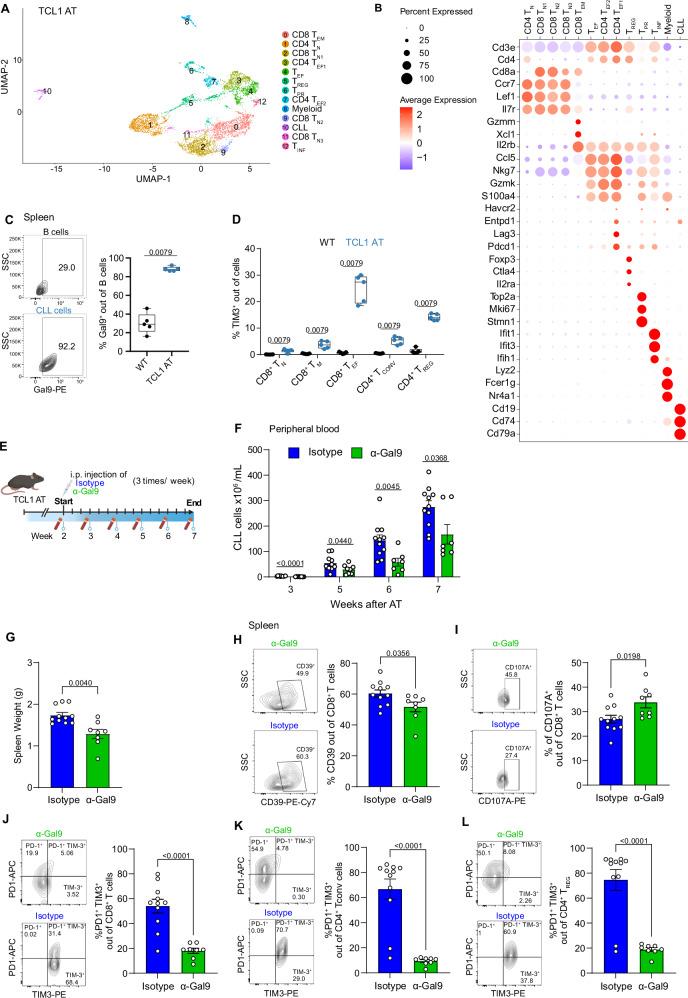 https://cdn.ncbi.nlm.nih.gov/pmc/blobs/158c/12331977/610eff0415d3/41467_2025_61822_Fig7_HTML.jpg