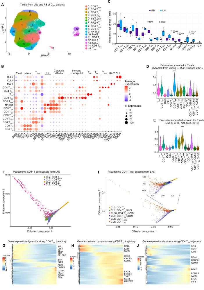 https://cdn.ncbi.nlm.nih.gov/pmc/blobs/158c/12331977/74bb0b320d56/41467_2025_61822_Fig4_HTML.jpg