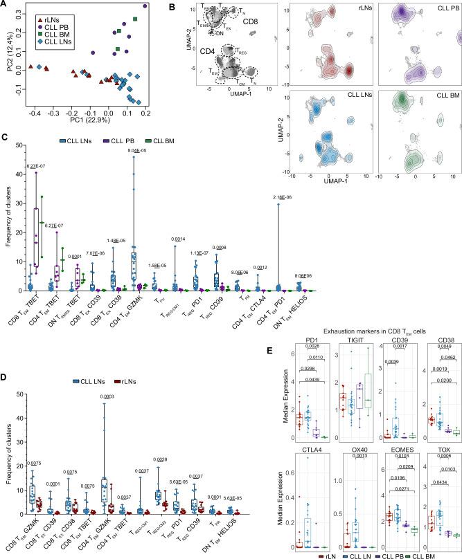 https://cdn.ncbi.nlm.nih.gov/pmc/blobs/158c/12331977/e20ffb8196bf/41467_2025_61822_Fig3_HTML.jpg