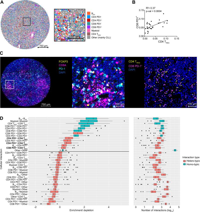 https://cdn.ncbi.nlm.nih.gov/pmc/blobs/158c/12331977/f71e4336375c/41467_2025_61822_Fig2_HTML.jpg