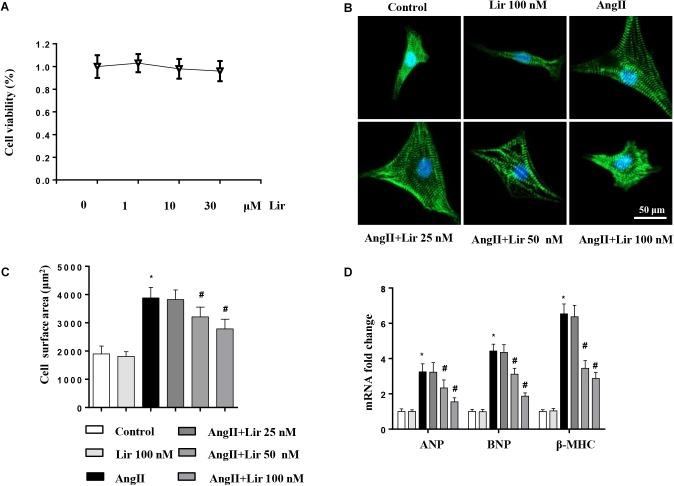 https://cdn.ncbi.nlm.nih.gov/pmc/blobs/158c/6560159/7e8593f8733a/fphar-10-00537-g004.jpg