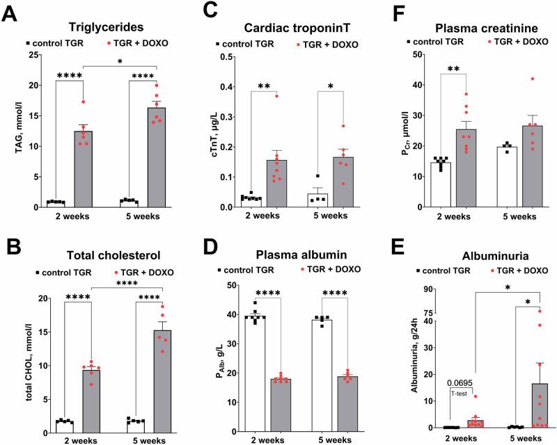https://cdn.ncbi.nlm.nih.gov/pmc/blobs/158d/11534684/350b3ade8dd2/41440_2024_1865_Fig6_HTML.jpg