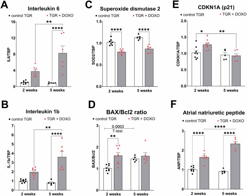https://cdn.ncbi.nlm.nih.gov/pmc/blobs/158d/11534684/40bfbcd1ac67/41440_2024_1865_Fig10_HTML.jpg