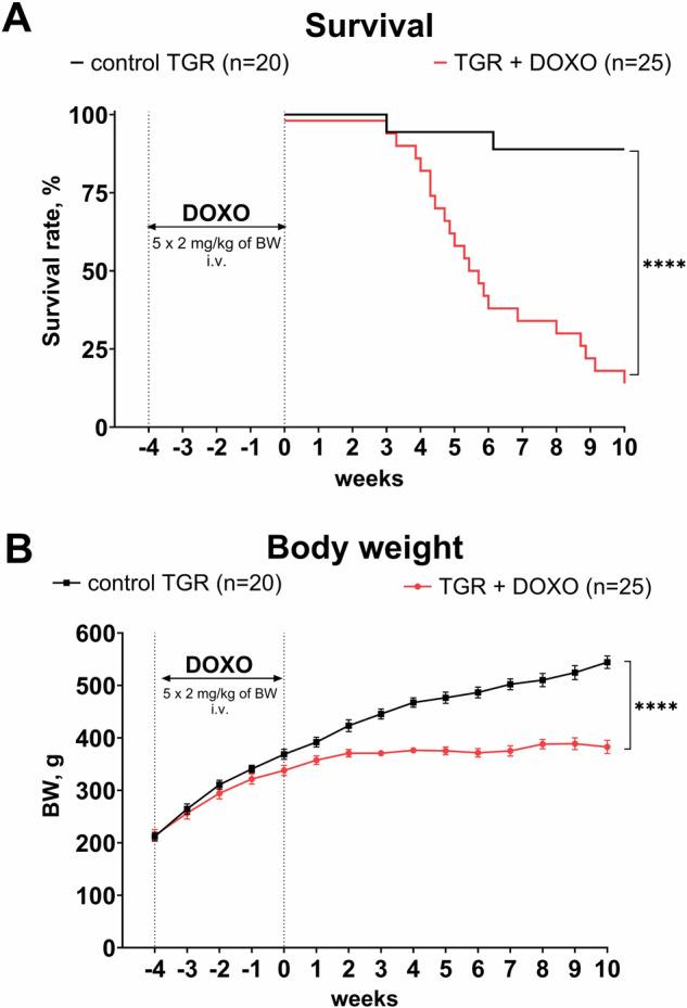 https://cdn.ncbi.nlm.nih.gov/pmc/blobs/158d/11534684/75bd2ce46dcd/41440_2024_1865_Fig2_HTML.jpg