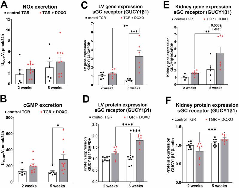 https://cdn.ncbi.nlm.nih.gov/pmc/blobs/158d/11534684/a071fa54a47b/41440_2024_1865_Fig11_HTML.jpg