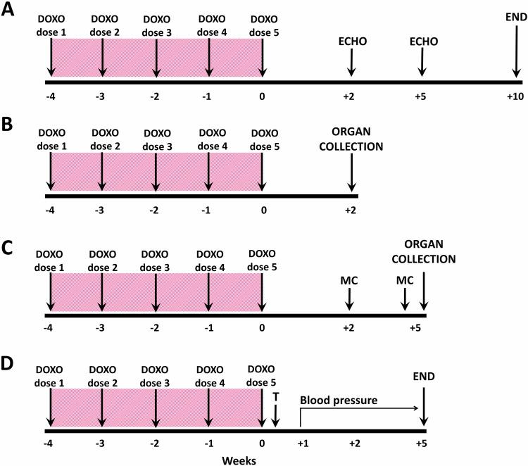 https://cdn.ncbi.nlm.nih.gov/pmc/blobs/158d/11534684/bfa734db214a/41440_2024_1865_Fig1_HTML.jpg