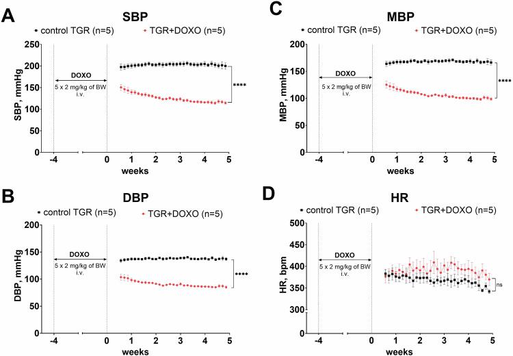 https://cdn.ncbi.nlm.nih.gov/pmc/blobs/158d/11534684/e5e8ab1e275b/41440_2024_1865_Fig12_HTML.jpg