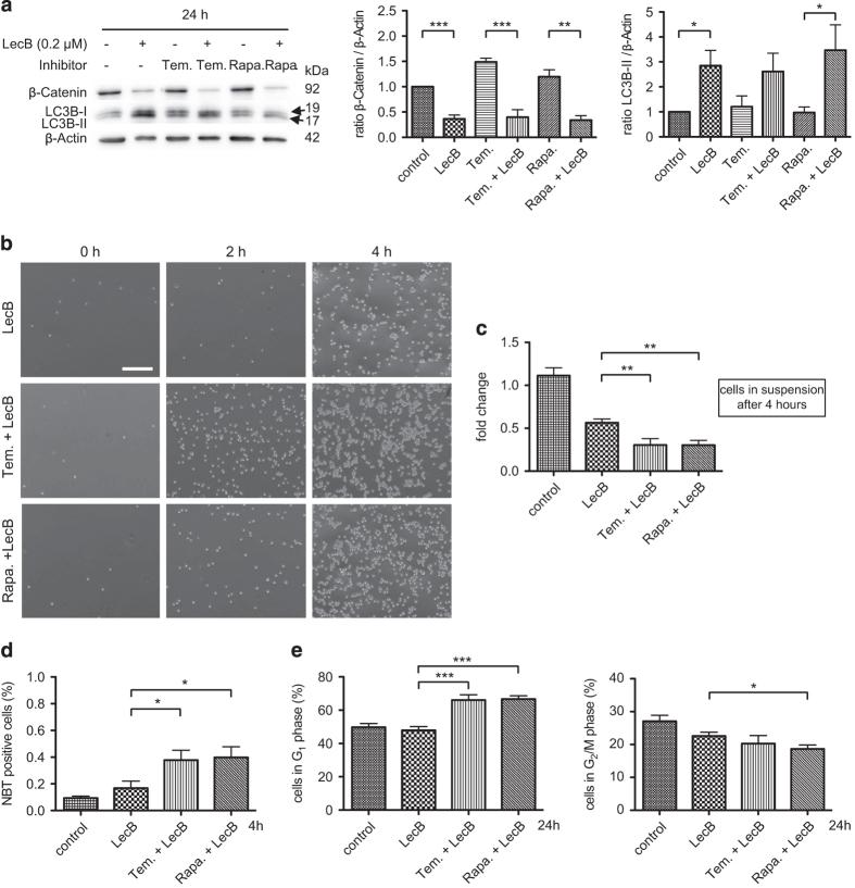 https://cdn.ncbi.nlm.nih.gov/pmc/blobs/158d/4979480/b80808f561db/cddiscovery201531-f5.jpg