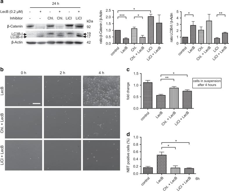 https://cdn.ncbi.nlm.nih.gov/pmc/blobs/158d/4979480/bc445937f9fc/cddiscovery201531-f4.jpg