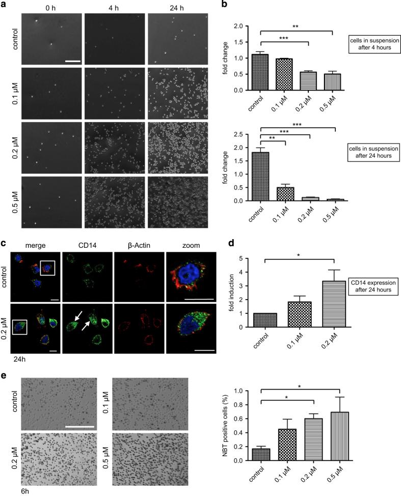 https://cdn.ncbi.nlm.nih.gov/pmc/blobs/158d/4979480/c7f148b00e56/cddiscovery201531-f1.jpg