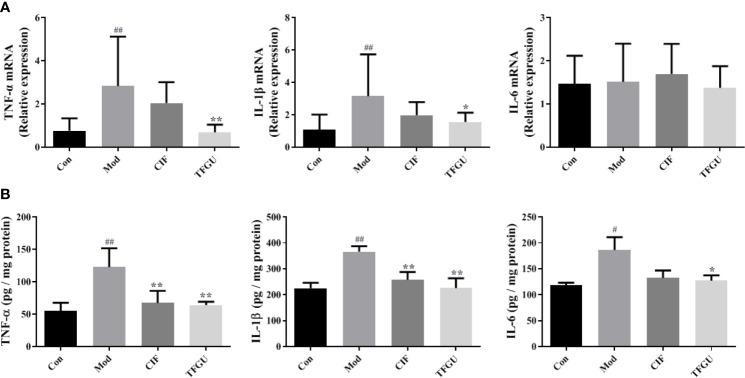 https://cdn.ncbi.nlm.nih.gov/pmc/blobs/1591/8138048/0113f8e429b4/fimmu-12-628358-g003.jpg