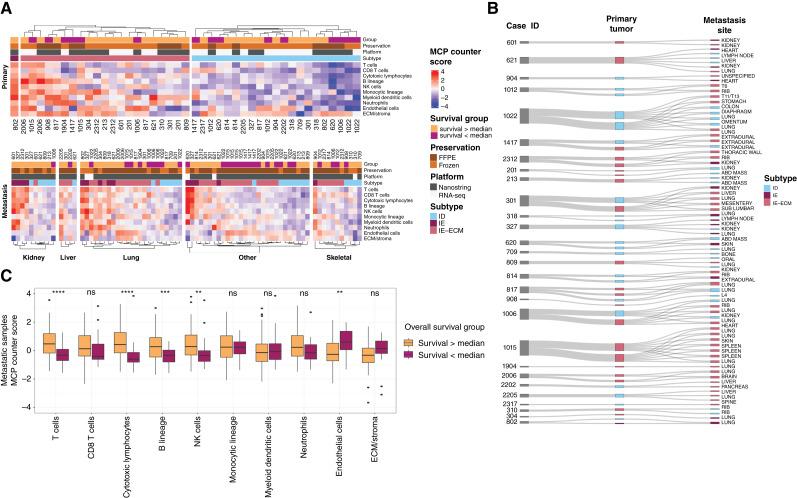 https://cdn.ncbi.nlm.nih.gov/pmc/blobs/1594/11647208/18c27b2b0d82/ccr-24-1854_f4.jpg