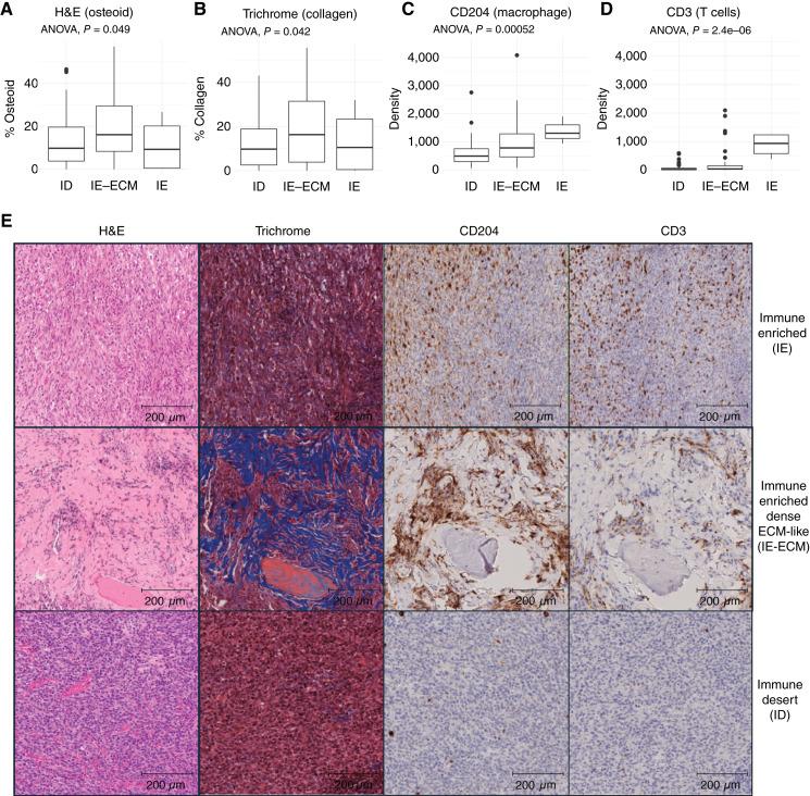 https://cdn.ncbi.nlm.nih.gov/pmc/blobs/1594/11647208/9ee03309e360/ccr-24-1854_f2.jpg