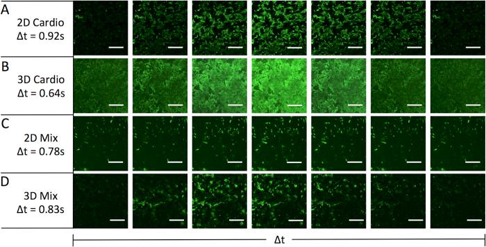 https://cdn.ncbi.nlm.nih.gov/pmc/blobs/1594/5180231/54442683072d/srep39806-f8.jpg