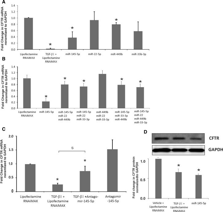 https://cdn.ncbi.nlm.nih.gov/pmc/blobs/1594/6369566/5a6949ca785f/gr4.jpg