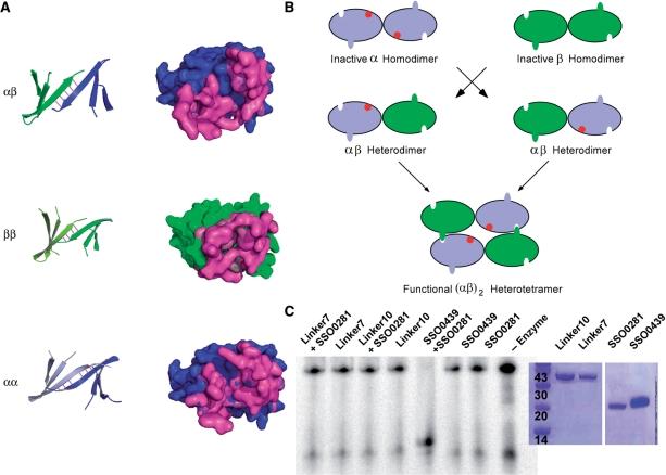 https://cdn.ncbi.nlm.nih.gov/pmc/blobs/1595/2761253/79a4f041a472/gkp537f4.jpg