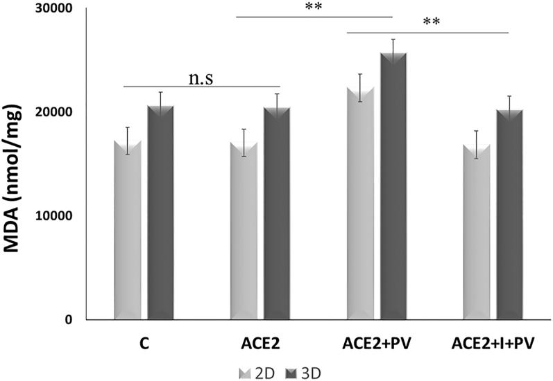 https://cdn.ncbi.nlm.nih.gov/pmc/blobs/1596/12344243/0d9e9c32989c/EC-25-0046fig8.jpg