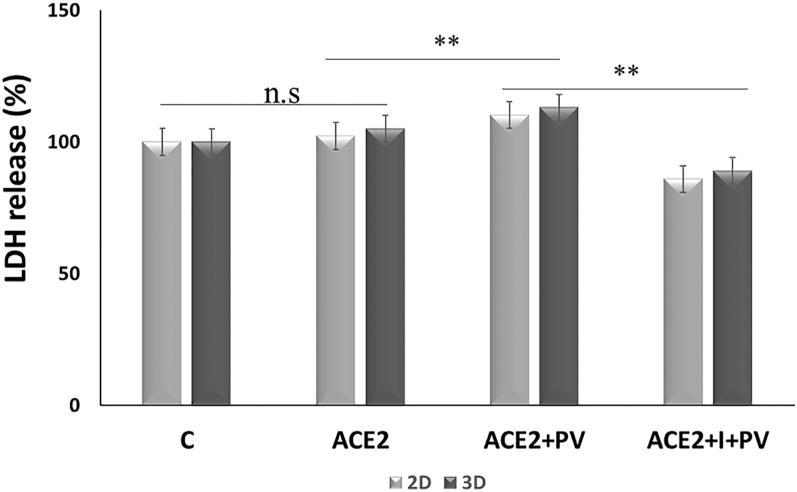 https://cdn.ncbi.nlm.nih.gov/pmc/blobs/1596/12344243/816c95630350/EC-25-0046fig6.jpg