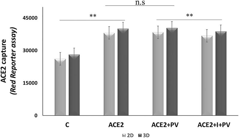 https://cdn.ncbi.nlm.nih.gov/pmc/blobs/1596/12344243/9a8fbd1f7129/EC-25-0046fig4.jpg