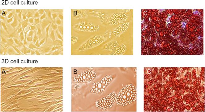 https://cdn.ncbi.nlm.nih.gov/pmc/blobs/1596/12344243/d5cb1d9ee3b9/EC-25-0046fig2.jpg