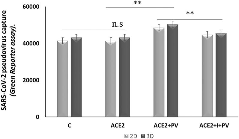 https://cdn.ncbi.nlm.nih.gov/pmc/blobs/1596/12344243/f58e0d64236c/EC-25-0046fig5.jpg