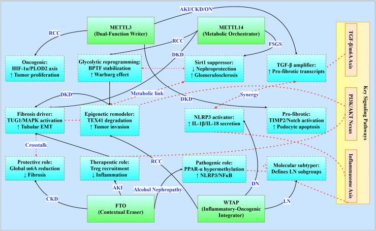 https://cdn.ncbi.nlm.nih.gov/pmc/blobs/1597/12398287/986cc0f654bd/peerj-13-19940-g003.jpg
