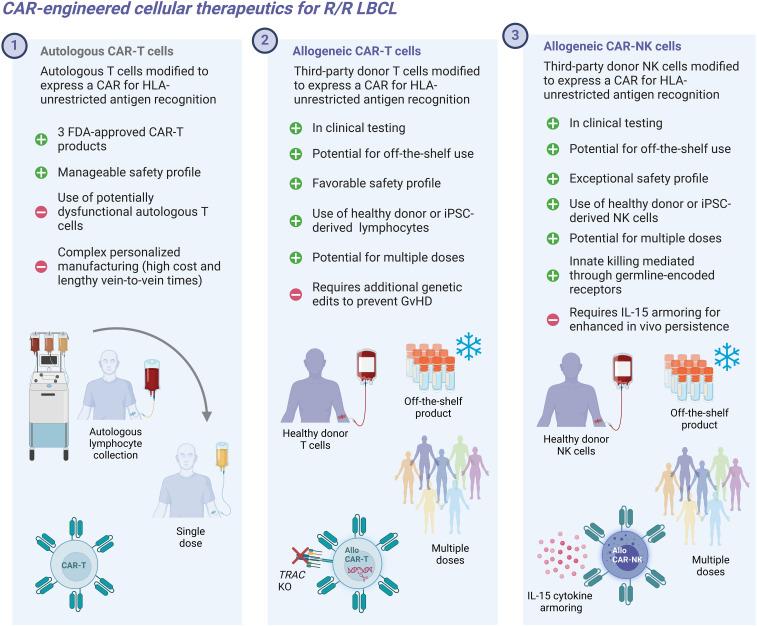 https://cdn.ncbi.nlm.nih.gov/pmc/blobs/1599/12279871/f89b166b1490/fimmu-16-1585556-g001.jpg