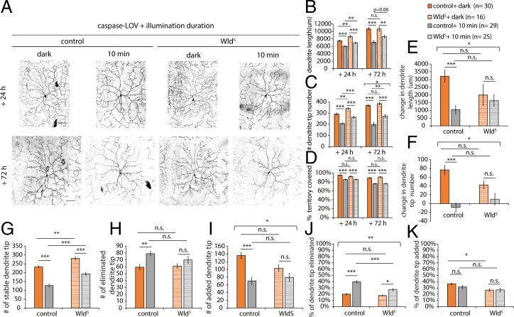 https://cdn.ncbi.nlm.nih.gov/pmc/blobs/159a/9407391/305d267a780f/pnas.2204577119fig03.jpg