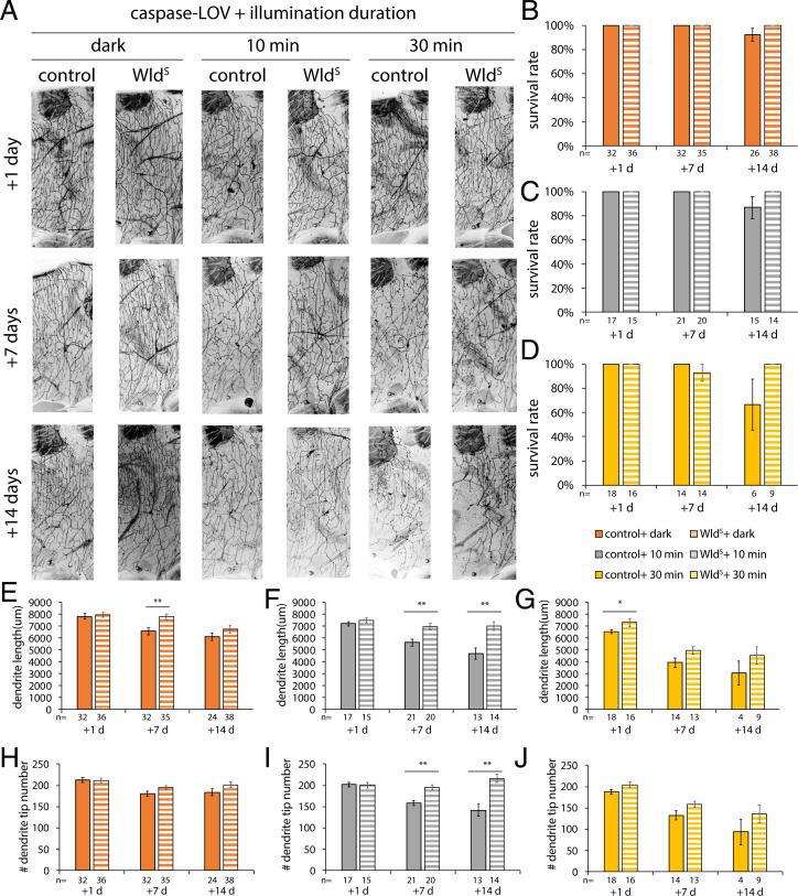 https://cdn.ncbi.nlm.nih.gov/pmc/blobs/159a/9407391/579a81585d94/pnas.2204577119fig05.jpg