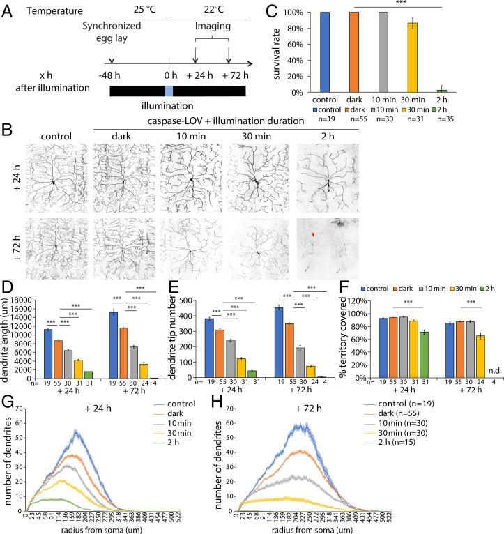 https://cdn.ncbi.nlm.nih.gov/pmc/blobs/159a/9407391/5ecb73fd80ac/pnas.2204577119fig01.jpg