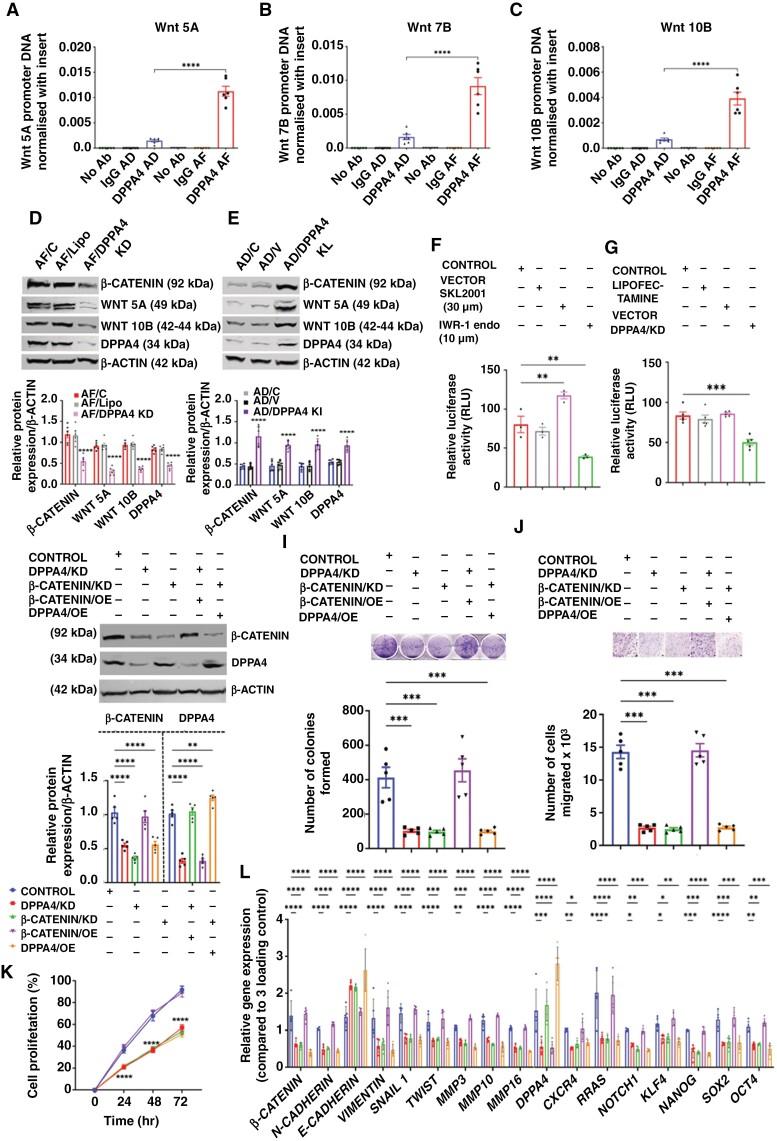 https://cdn.ncbi.nlm.nih.gov/pmc/blobs/159c/11726338/d3bd7382e35c/noae148_fig4.jpg
