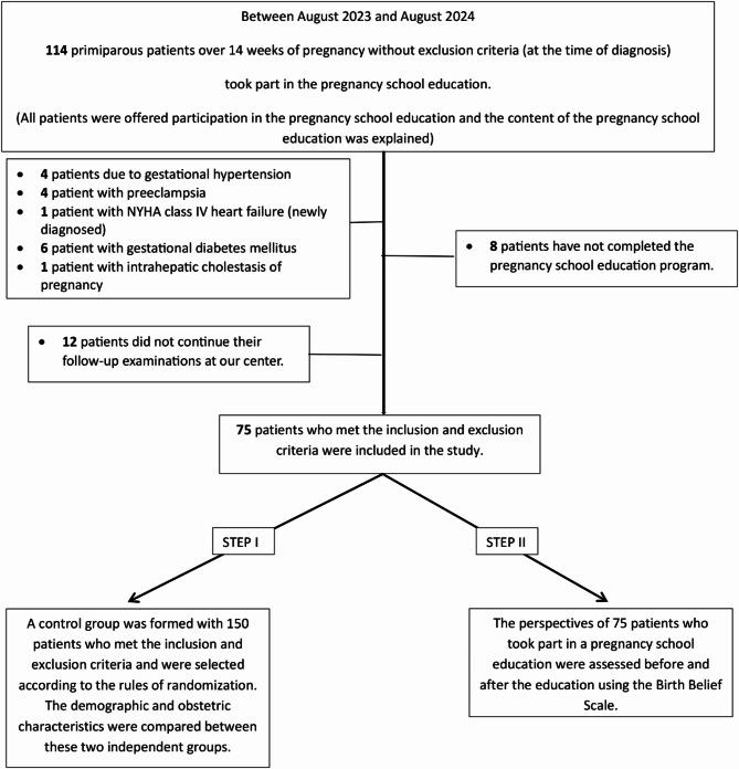 https://cdn.ncbi.nlm.nih.gov/pmc/blobs/159c/12023377/9549916f62f3/12884_2025_7578_Fig1_HTML.jpg