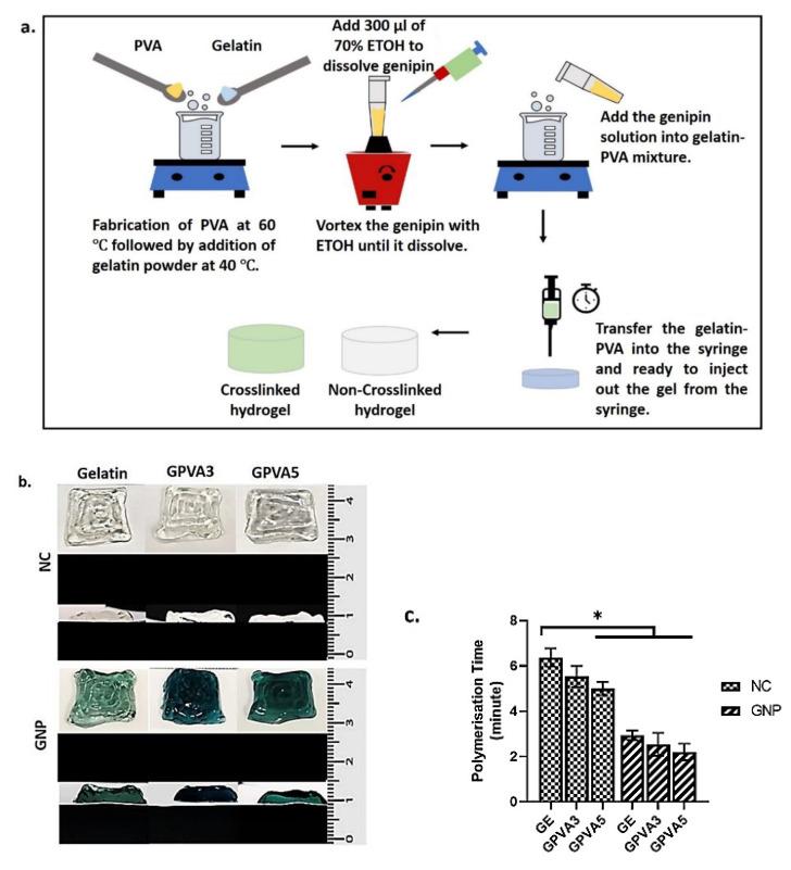 https://cdn.ncbi.nlm.nih.gov/pmc/blobs/159d/9599713/a027b40f0403/biomedicines-10-02651-g002.jpg