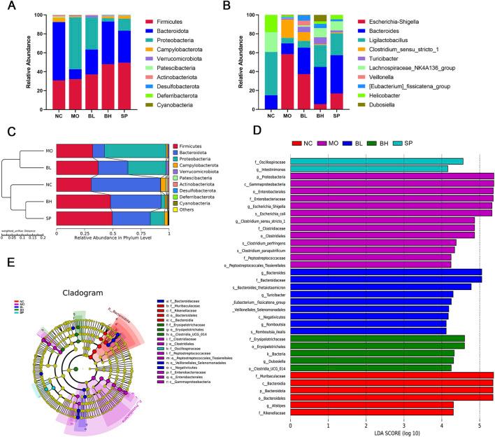https://cdn.ncbi.nlm.nih.gov/pmc/blobs/159e/12350334/2cdab1290902/fphar-16-1564783-g006.jpg