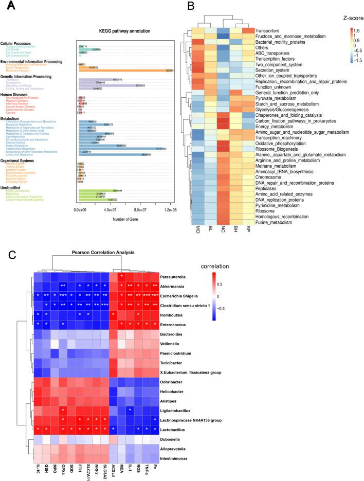 https://cdn.ncbi.nlm.nih.gov/pmc/blobs/159e/12350334/5b13eb800998/fphar-16-1564783-g007.jpg